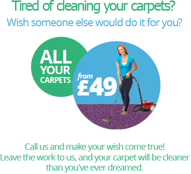Carpet Cleaning at Lowest Prices