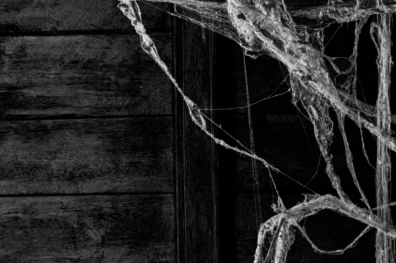 Expert Advice on Cleaning and Preserving Velvet Drapes