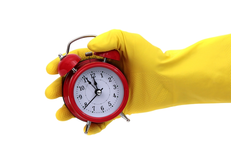 Mistakes to Avoid When Cleaning Pet Areas